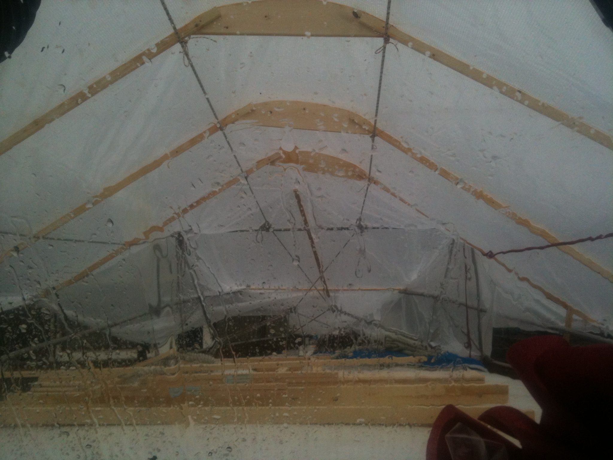 img-4001