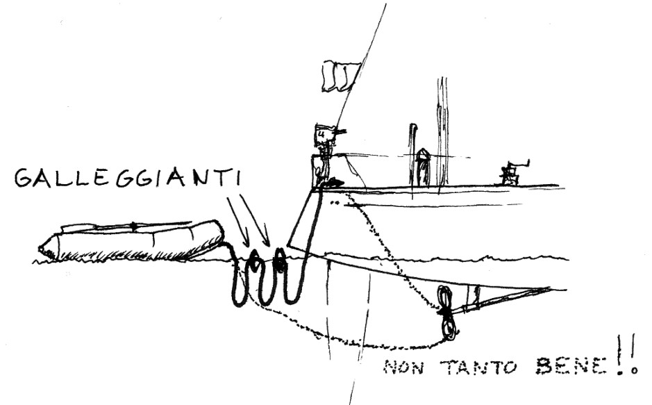 immagine6
