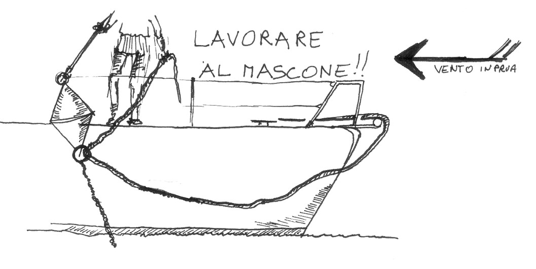 immagine8