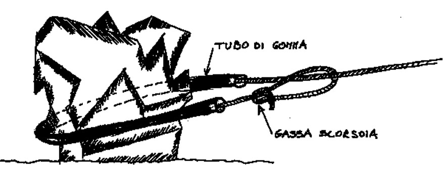 immagine9