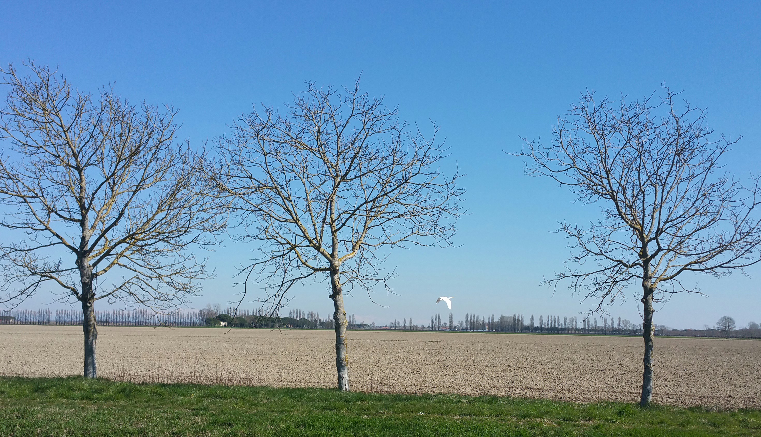 2018-03-26-10-15-33