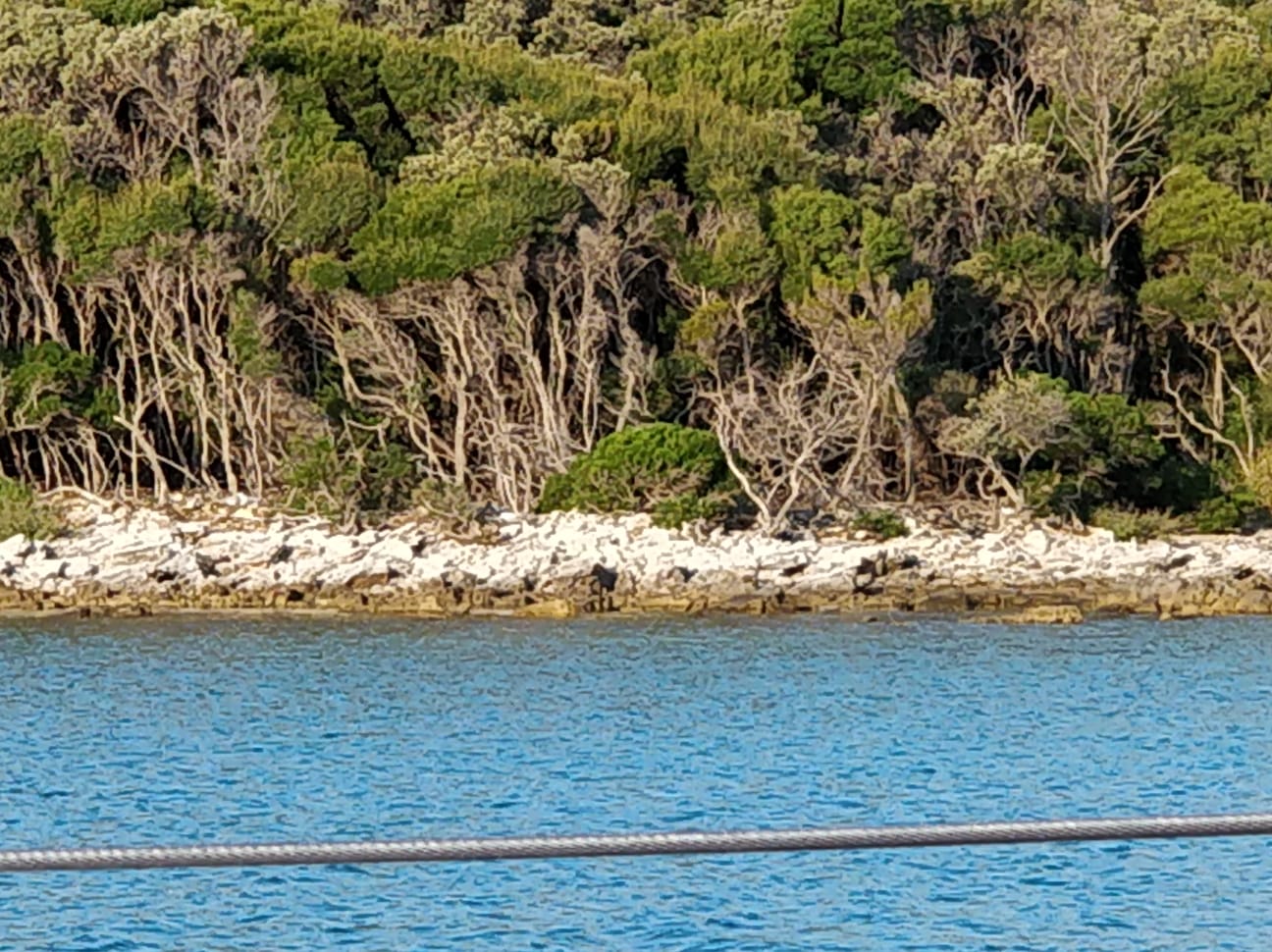 img-20180805-wa0014