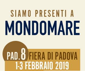 300x250-mondomare