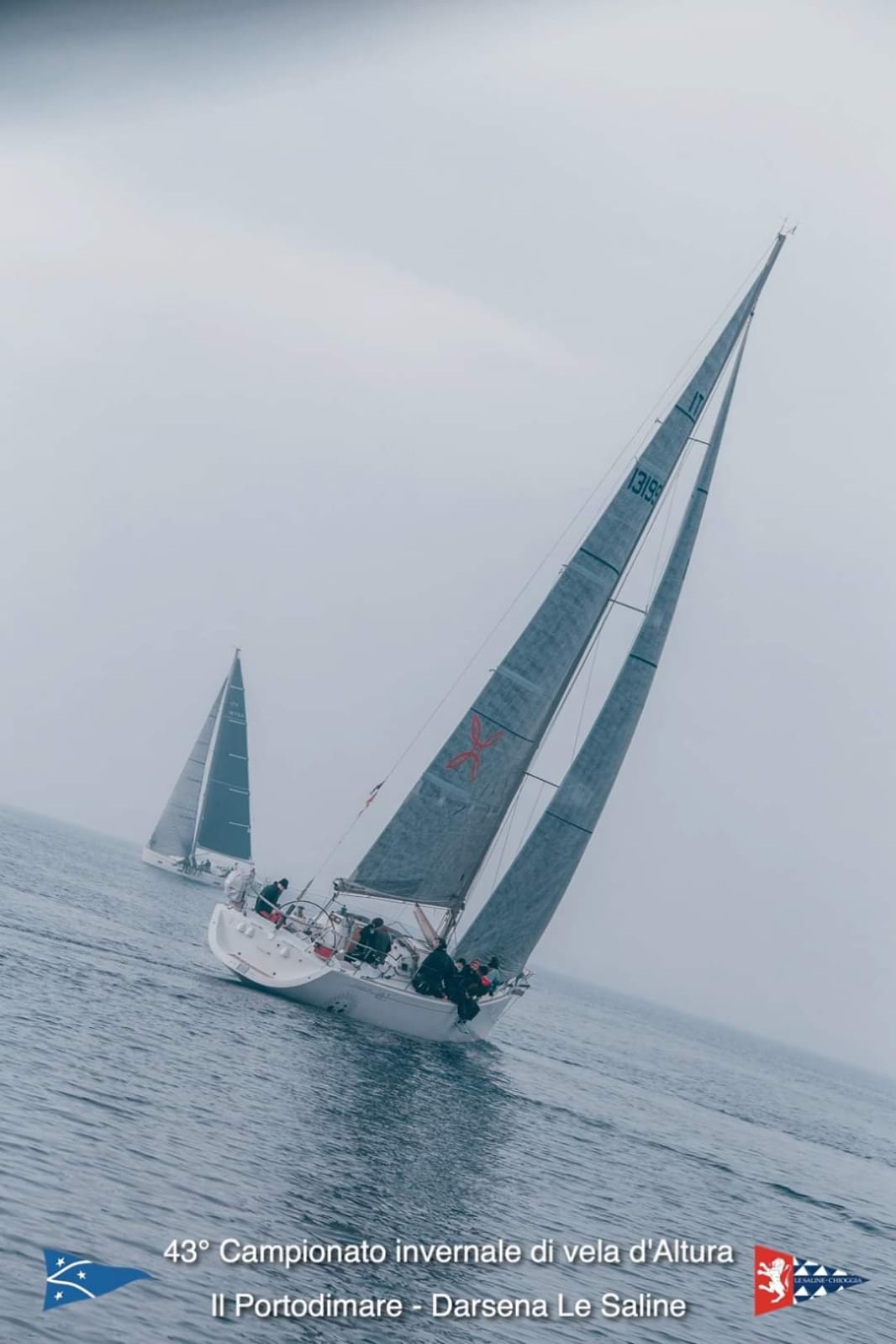 bella-2